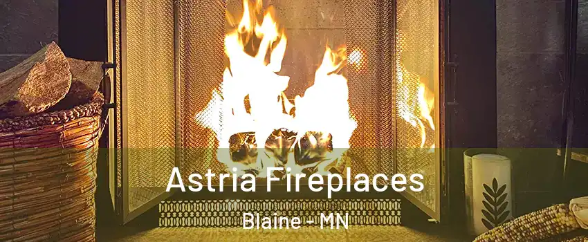  Astria Fireplaces Blaine - MN