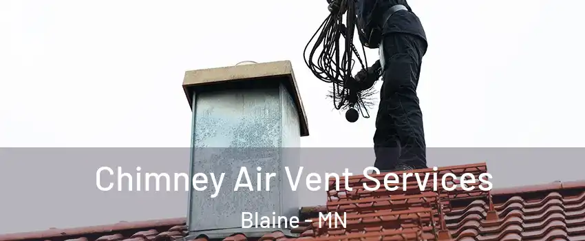  Chimney Air Vent Services Blaine - MN