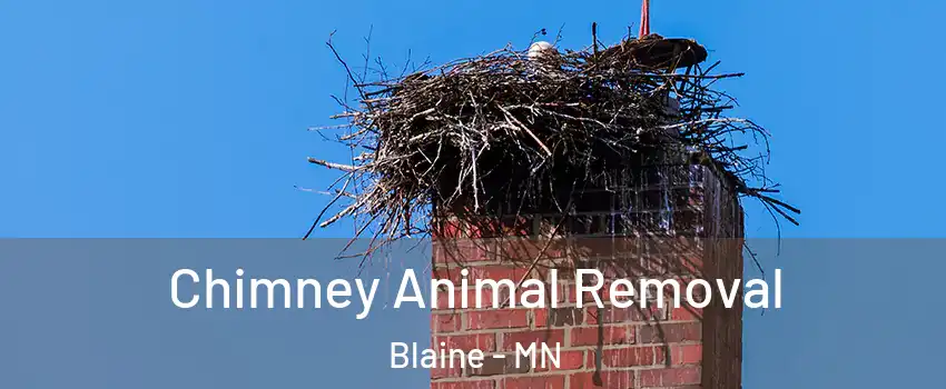 Chimney Animal Removal Blaine - MN
