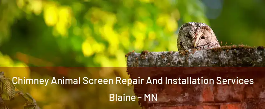  Chimney Animal Screen Repair And Installation Services Blaine - MN
