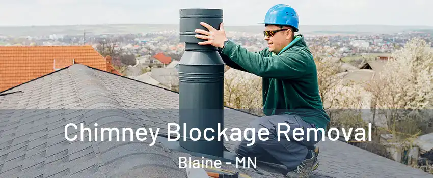  Chimney Blockage Removal Blaine - MN