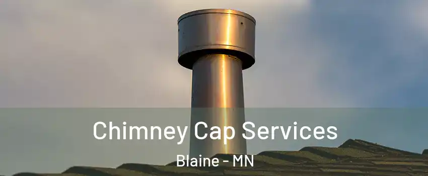  Chimney Cap Services Blaine - MN
