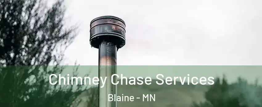  Chimney Chase Services Blaine - MN