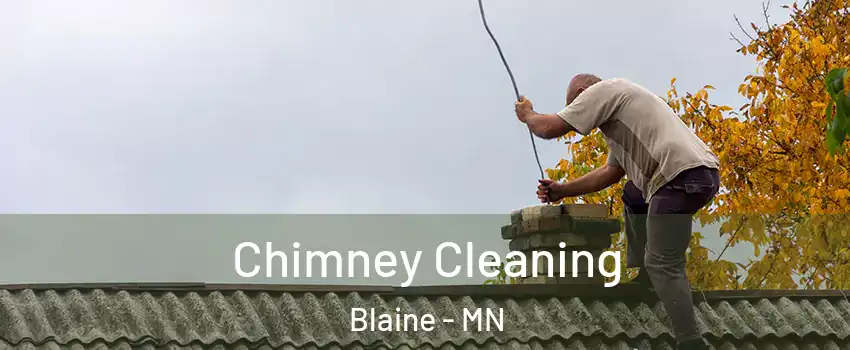  Chimney Cleaning Blaine - MN