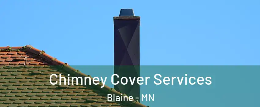  Chimney Cover Services Blaine - MN