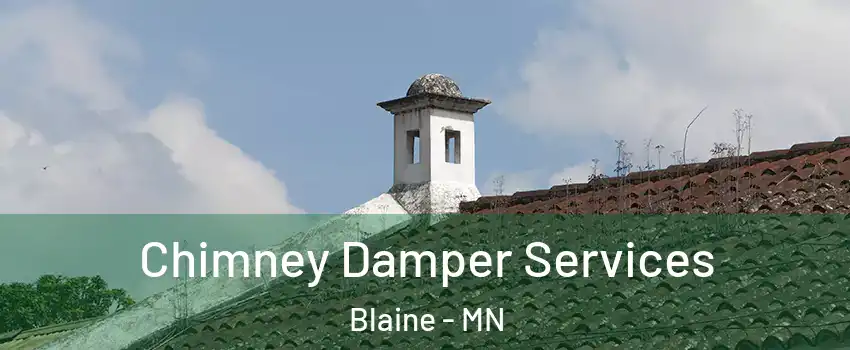  Chimney Damper Services Blaine - MN