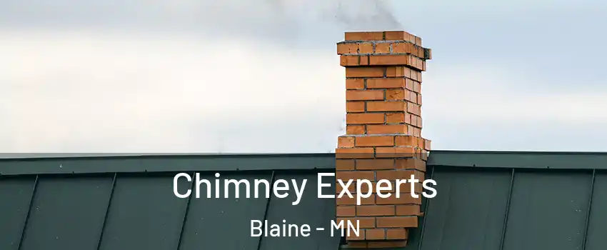 Chimney Experts Blaine - MN