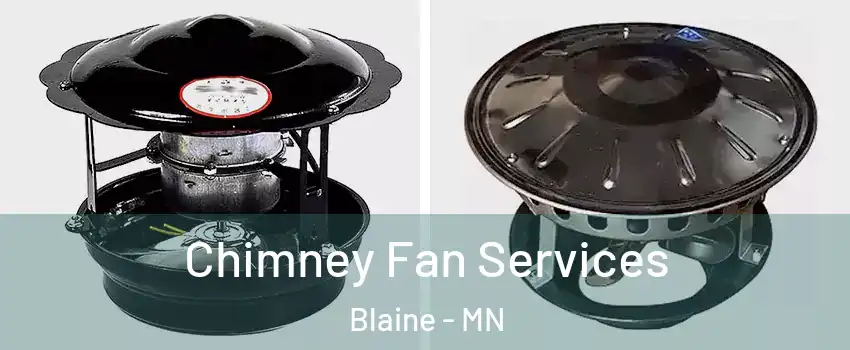  Chimney Fan Services Blaine - MN