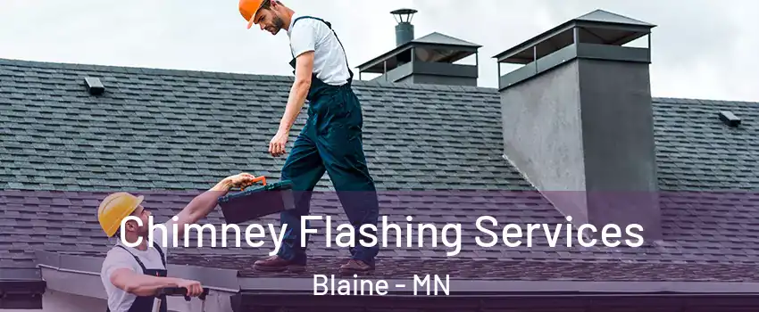 Chimney Flashing Services Blaine - MN