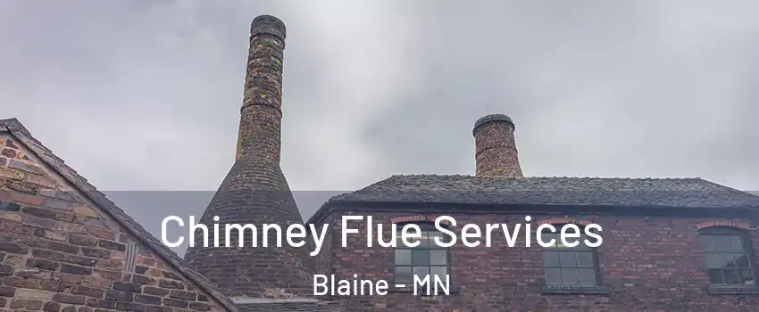  Chimney Flue Services Blaine - MN