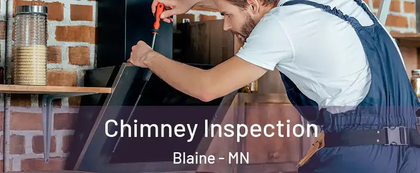  Chimney Inspection Blaine - MN