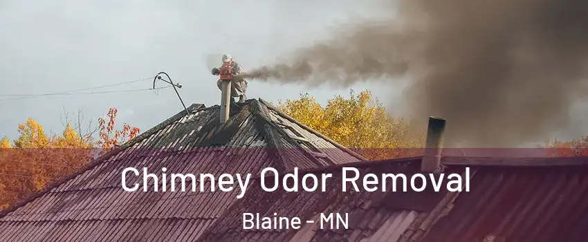  Chimney Odor Removal Blaine - MN