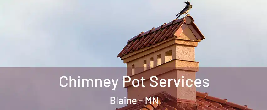  Chimney Pot Services Blaine - MN