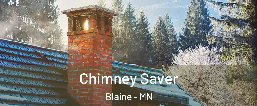  Chimney Saver Blaine - MN