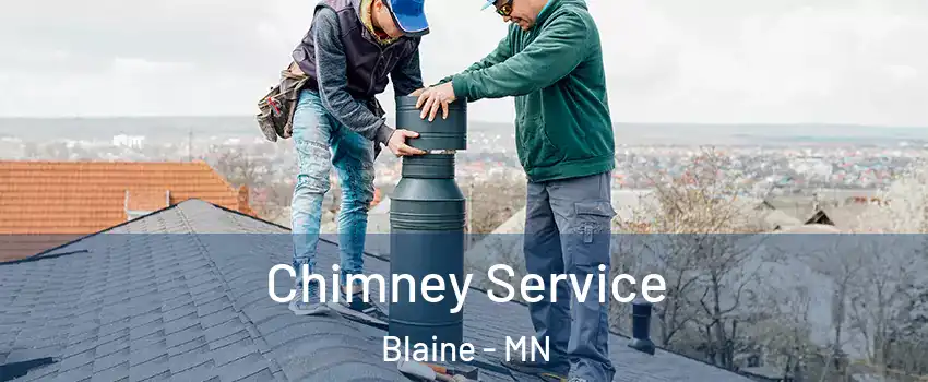  Chimney Service Blaine - MN
