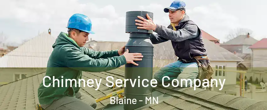  Chimney Service Company Blaine - MN