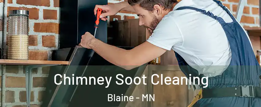  Chimney Soot Cleaning Blaine - MN