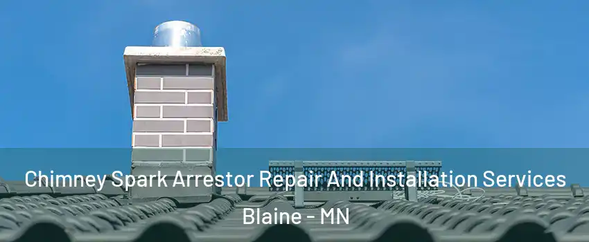  Chimney Spark Arrestor Repair And Installation Services Blaine - MN