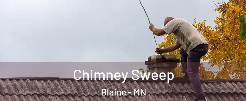  Chimney Sweep Blaine - MN