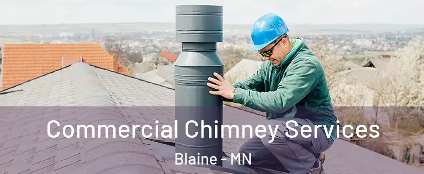  Commercial Chimney Services Blaine - MN