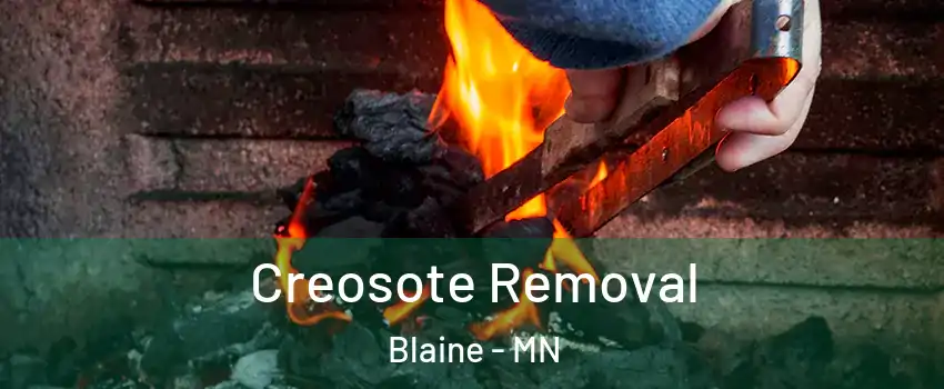  Creosote Removal Blaine - MN