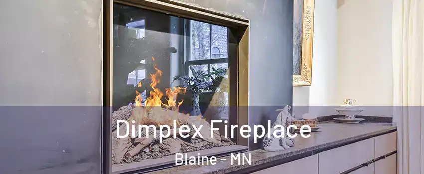  Dimplex Fireplace Blaine - MN