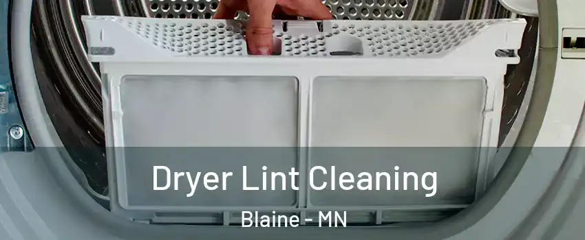  Dryer Lint Cleaning Blaine - MN