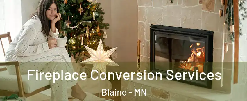  Fireplace Conversion Services Blaine - MN