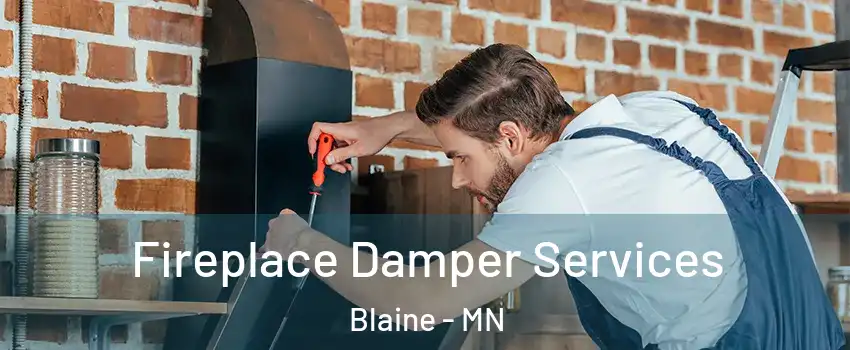  Fireplace Damper Services Blaine - MN