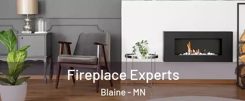  Fireplace Experts Blaine - MN