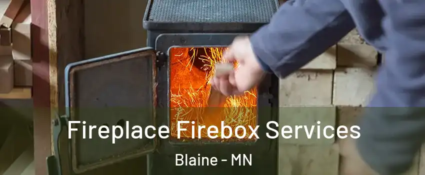  Fireplace Firebox Services Blaine - MN