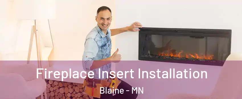 Fireplace Insert Installation Blaine - MN