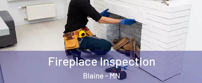  Fireplace Inspection Blaine - MN