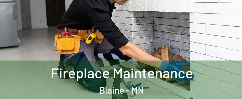  Fireplace Maintenance Blaine - MN
