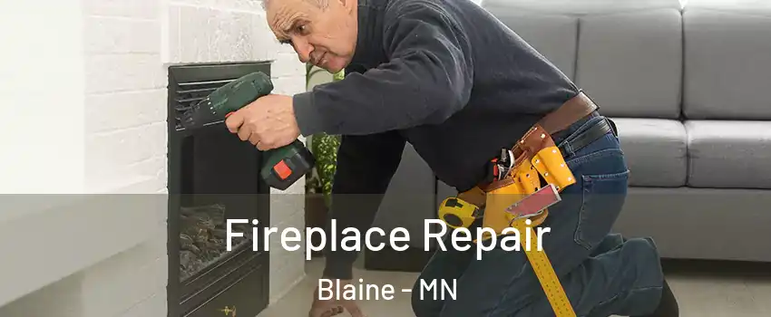  Fireplace Repair Blaine - MN