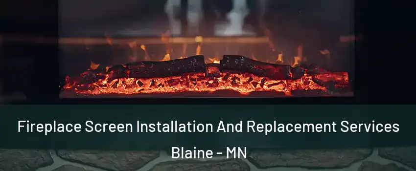  Fireplace Screen Installation And Replacement Services Blaine - MN