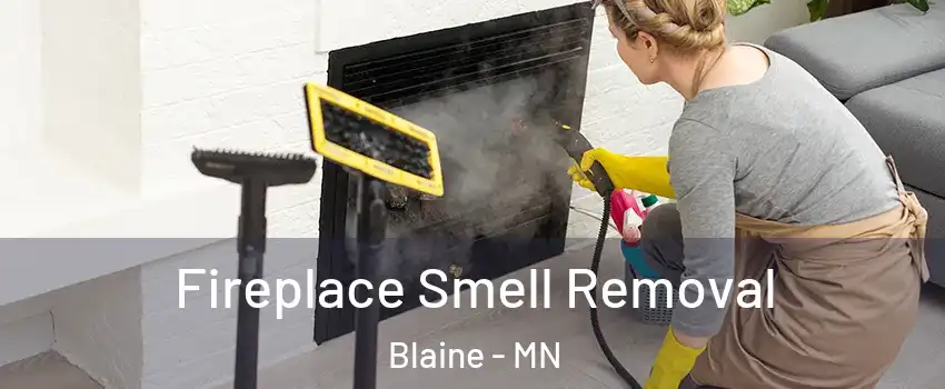  Fireplace Smell Removal Blaine - MN