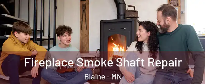  Fireplace Smoke Shaft Repair Blaine - MN