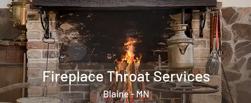  Fireplace Throat Services Blaine - MN