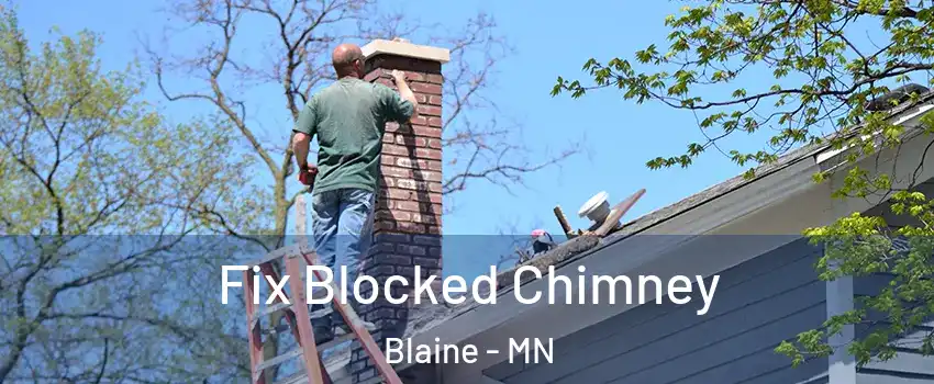  Fix Blocked Chimney Blaine - MN