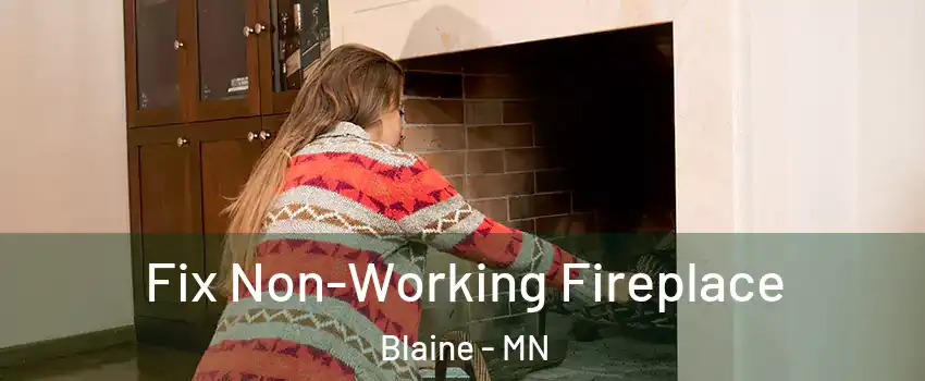  Fix Non-Working Fireplace Blaine - MN
