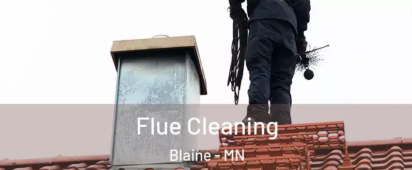  Flue Cleaning Blaine - MN