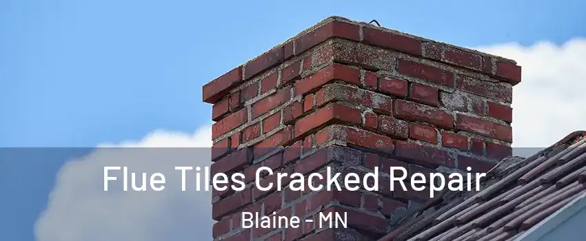  Flue Tiles Cracked Repair Blaine - MN