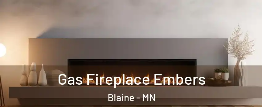  Gas Fireplace Embers Blaine - MN