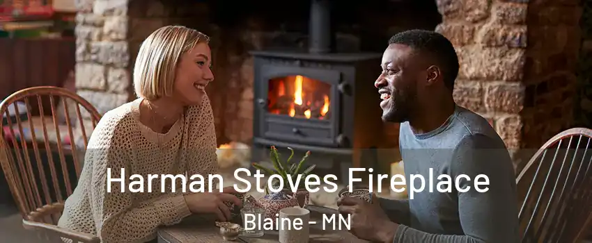  Harman Stoves Fireplace Blaine - MN