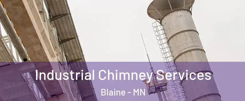  Industrial Chimney Services Blaine - MN