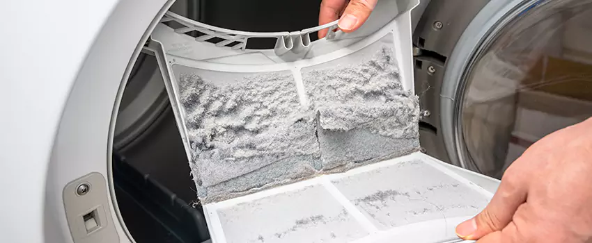 Best Dryer Lint Removal Company in Blaine, Minnesota