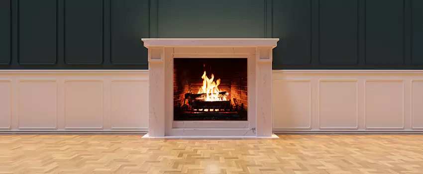 Napoleon Electric Fireplaces Inspection Service in Blaine, Minnesota