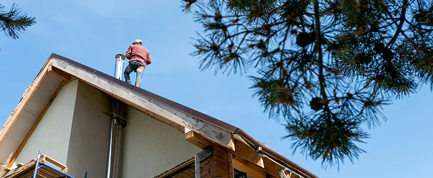 Birds Removal Contractors from Chimney in Blaine, MN