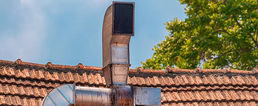 Chimney Blockage Removal in Blaine, Minnesota